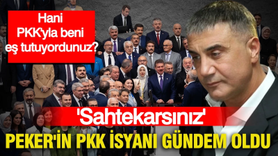 Türkiye Büyük Millet Meclisi'nde kabul edilen kamuoyunda "Terörsüz Türkiye" yasası