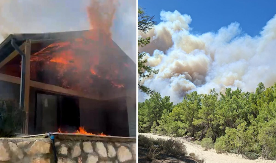 Muğla’da başlayan orman yangını Antalya’ya sıçradı! Bazı evler alevlere teslim Muğla'nın Seydikemer ilçesinde başlayan yangın, şiddetli rüzgar nedeniyle Antalya'nın Kaş
