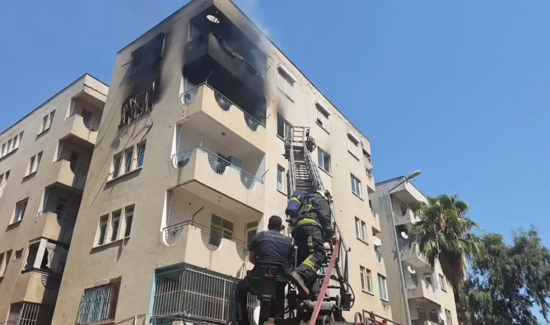 Muratpaşa’da Alevler 2 Daireyi Sardı: Hamile Kedi Merdivenle Kurtarıldı Antalya'nın Muratpaşa ilçesinde 5 katlı bir apartmanın metruk dairesinde çıkan