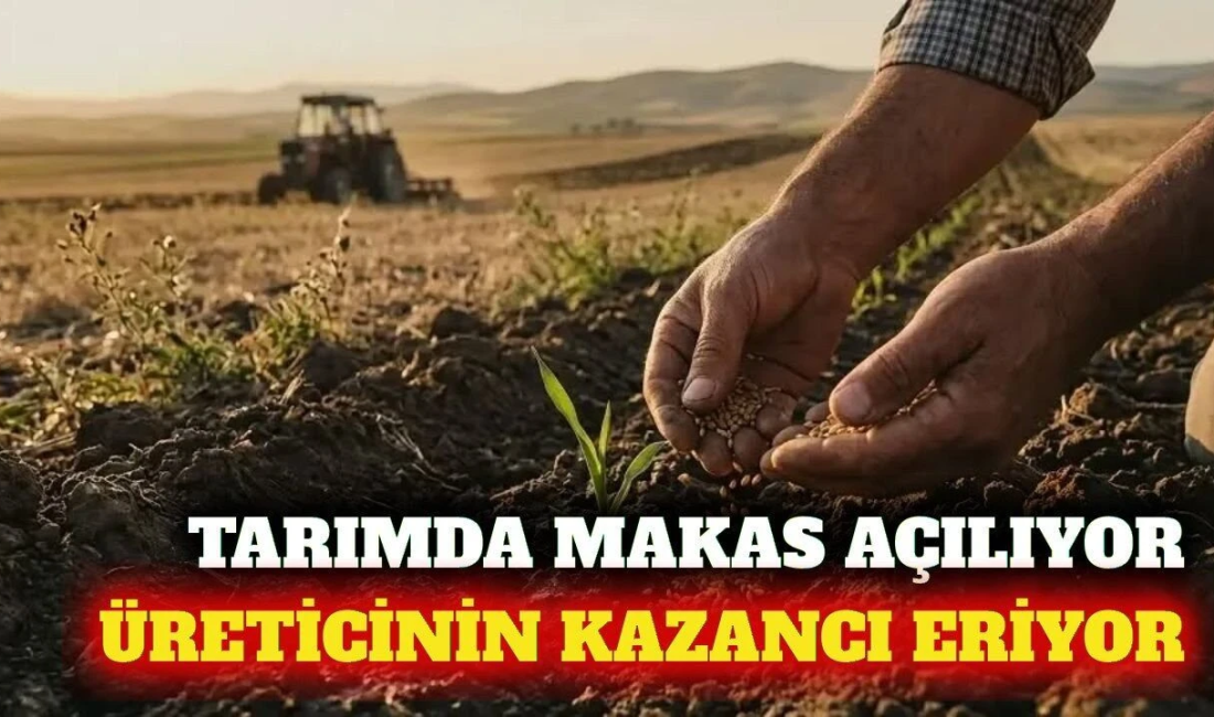 ATB uyardı: Tarımda maliyet ve satış fiyatı makası büyüyor TÜİK'in Temmuz 2026 verilerini inceleyen ATB, tarımsal girdi maliyetlerindeki yüzde